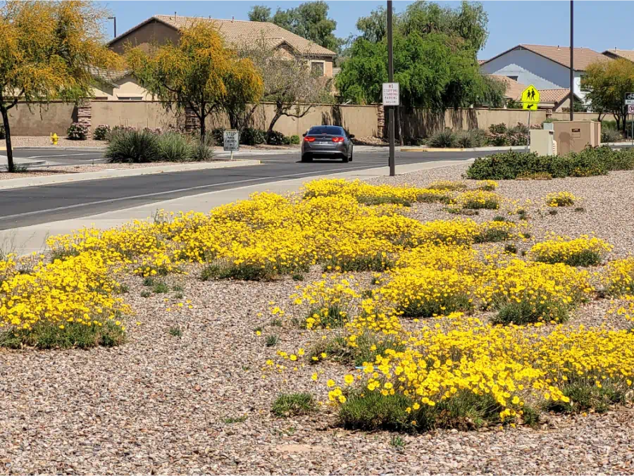 Resized 20210331 130253