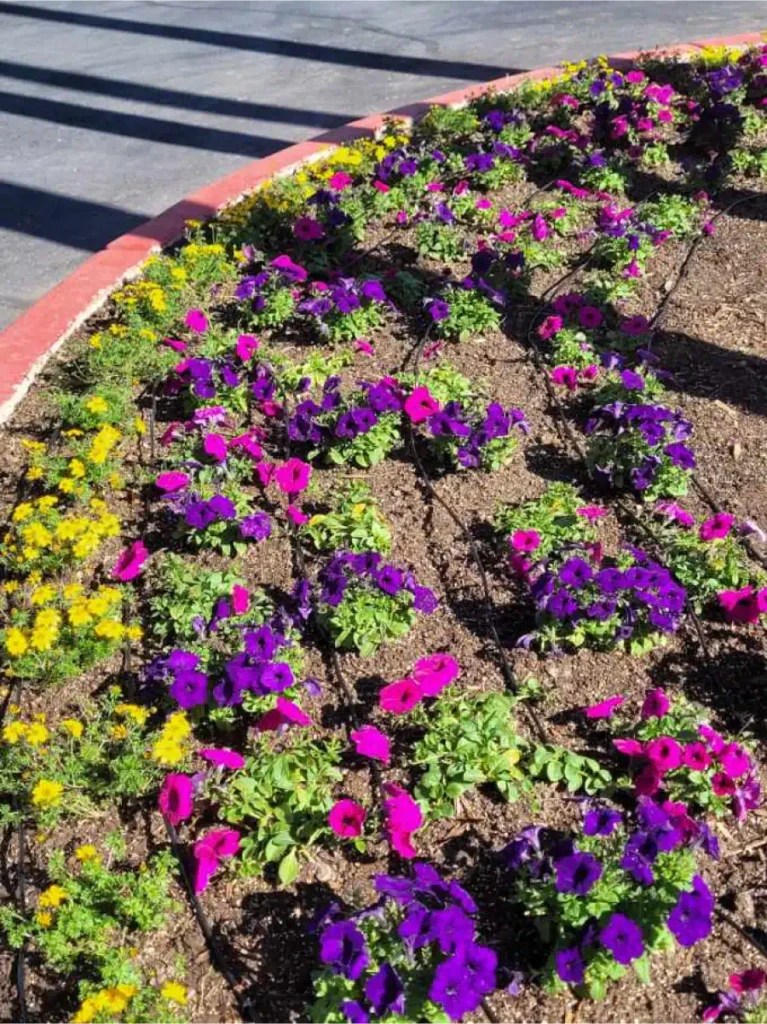 Resized 20221123 115155