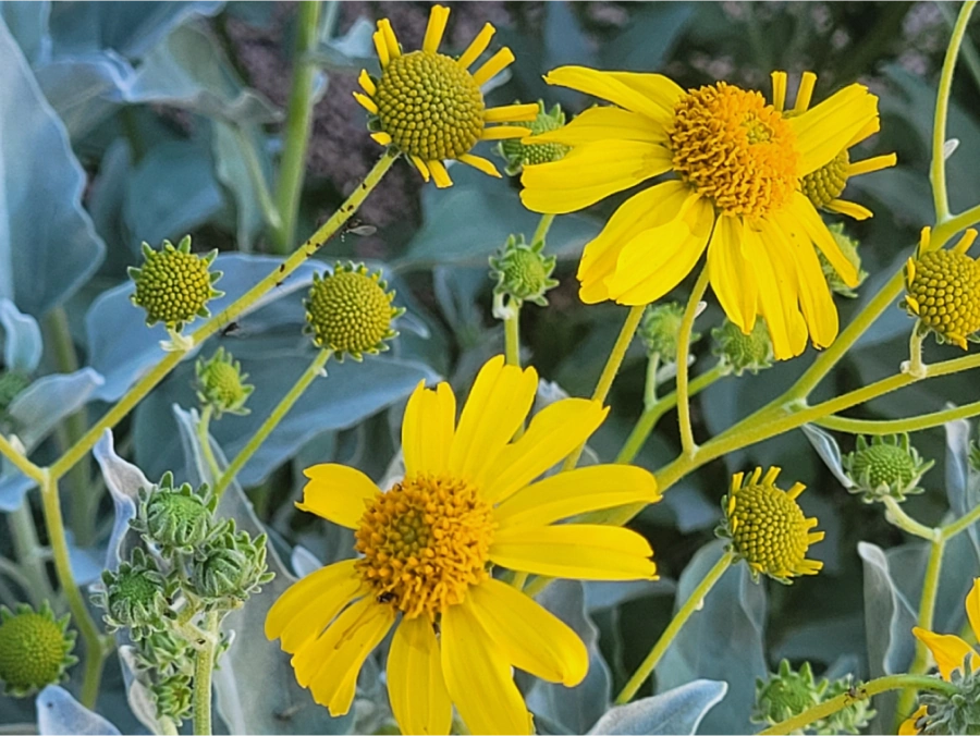 Resized 20230409 093638