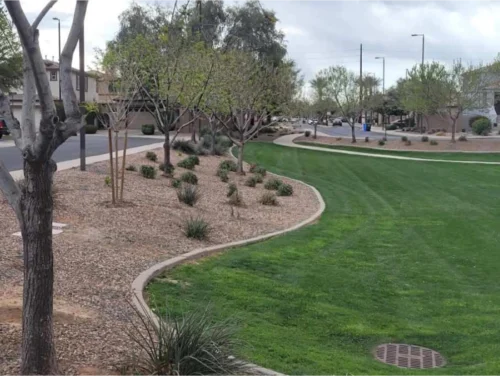 Resized 20240307 093437