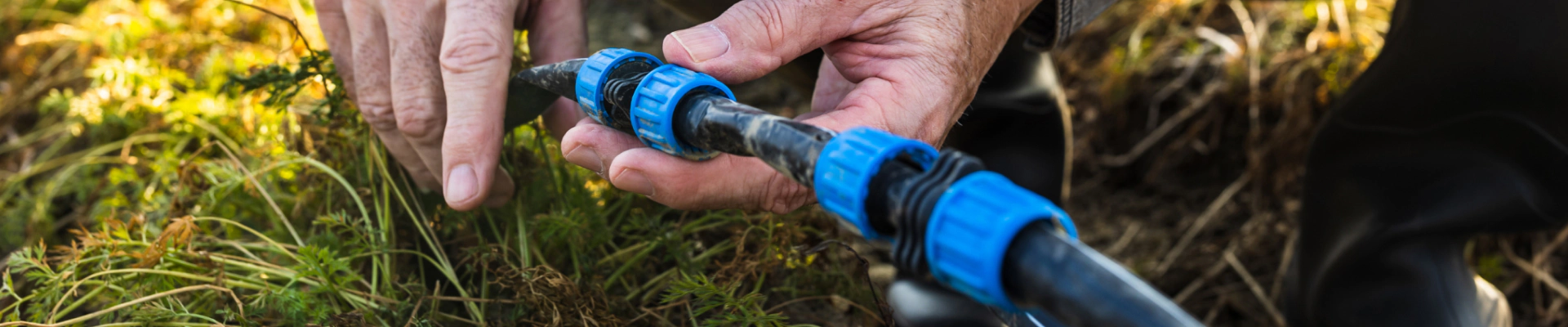 man fixing irrigation tubes and connection