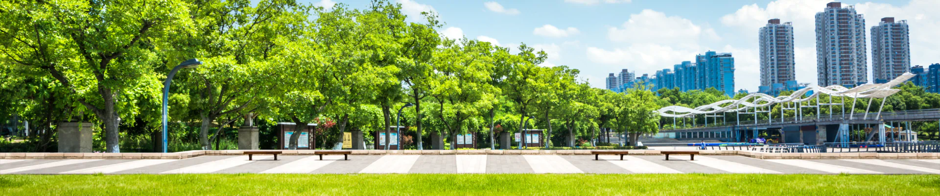 open park with trees and buildings