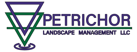 petrichor logo color outline